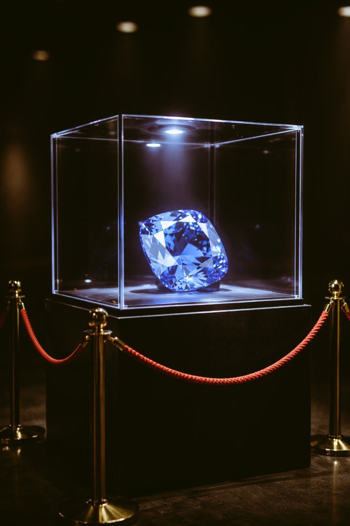 The SAP210 pre-sale has only 67 tokens available — an extremely limited supply.

This is intentional. It's the balance we designed between supply and demand.

The sale runs for up to 14 days — or until the $10,000 Hard Cap is reached, whichever comes first.

With a strong