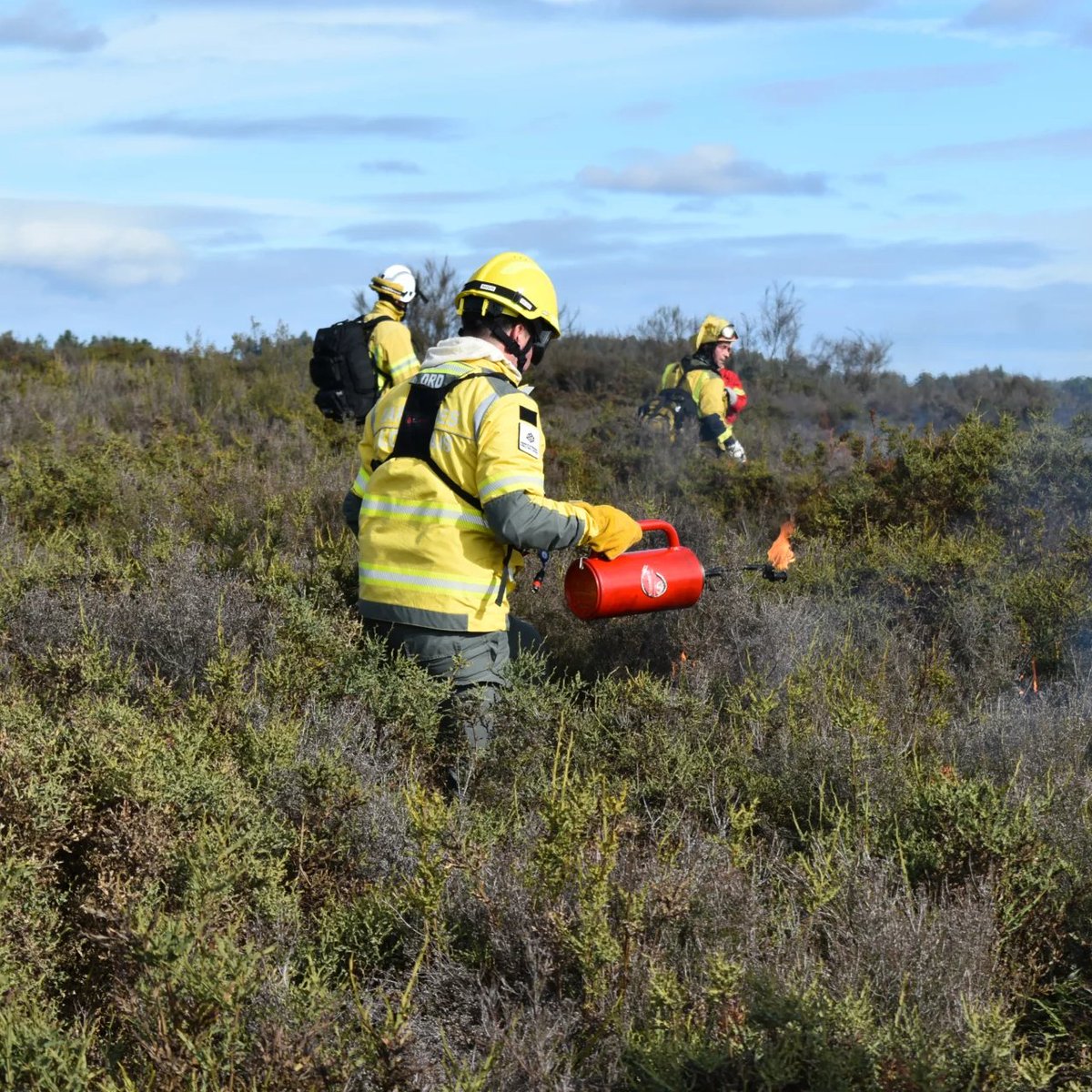 Juan Picos tweet media