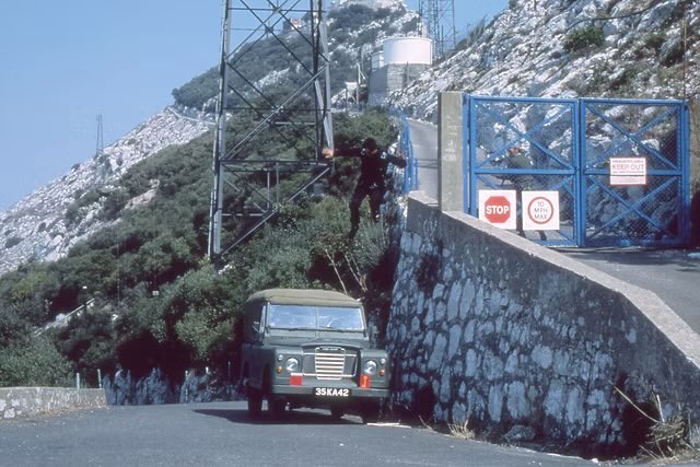 Alice Dryden tweet media