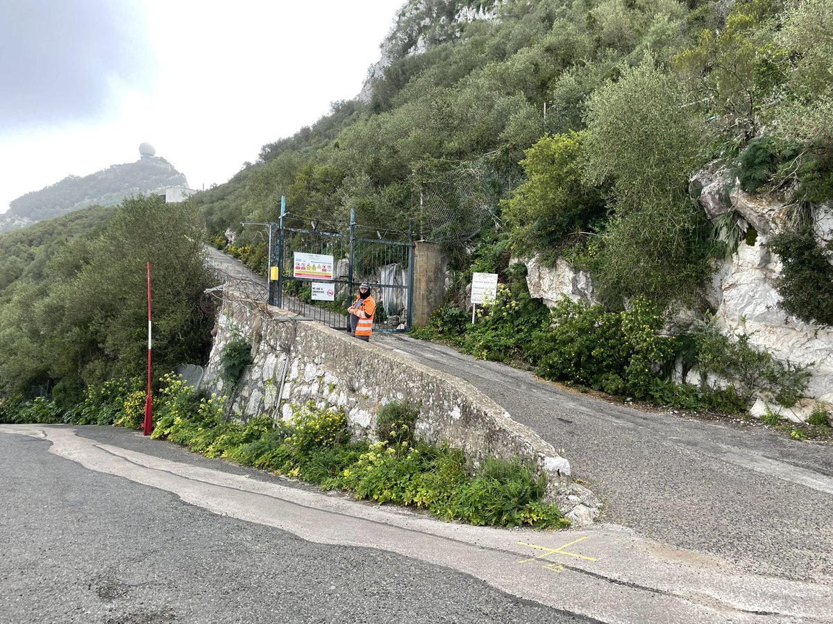 Alice Dryden tweet media