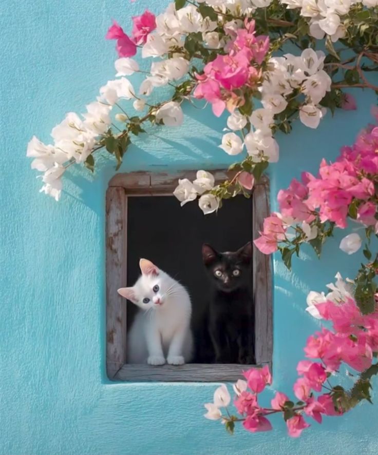 Lucia Tassan Mangina tweet media