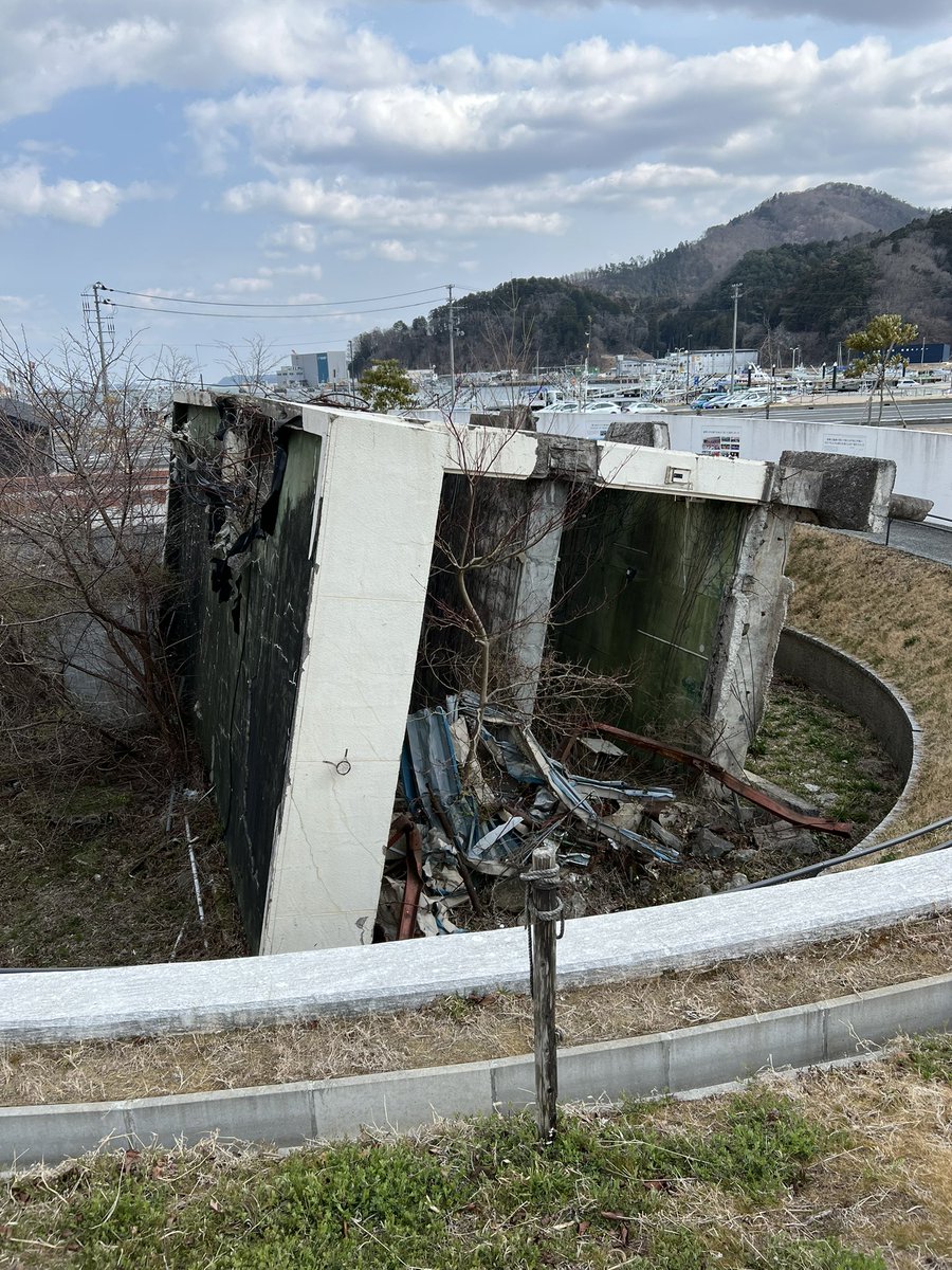 ペレ草田🌻 tweet media