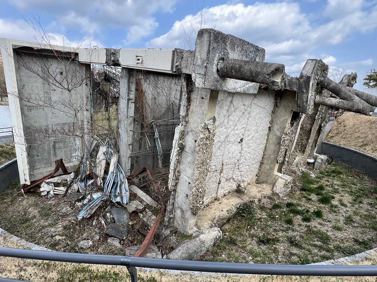 ペレ草田🌻 tweet media