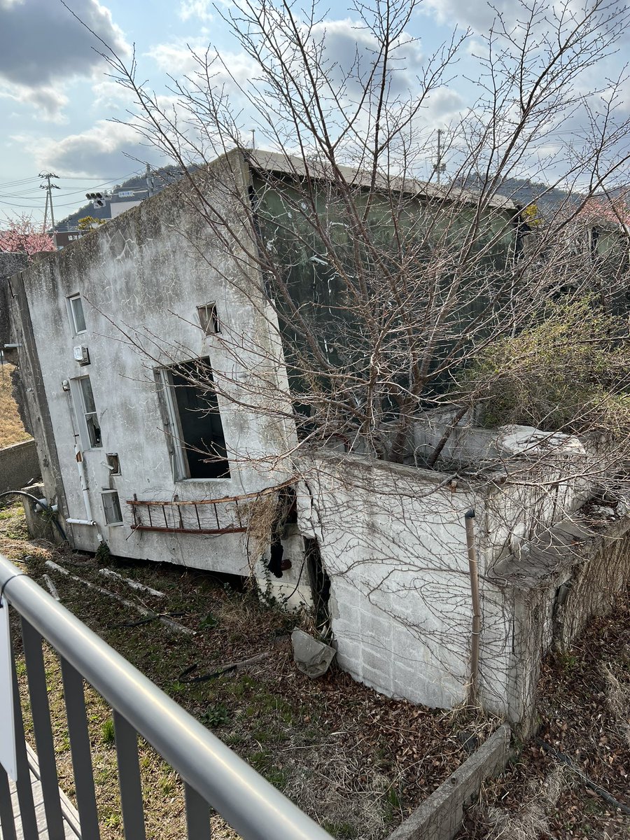 ペレ草田🌻 tweet media