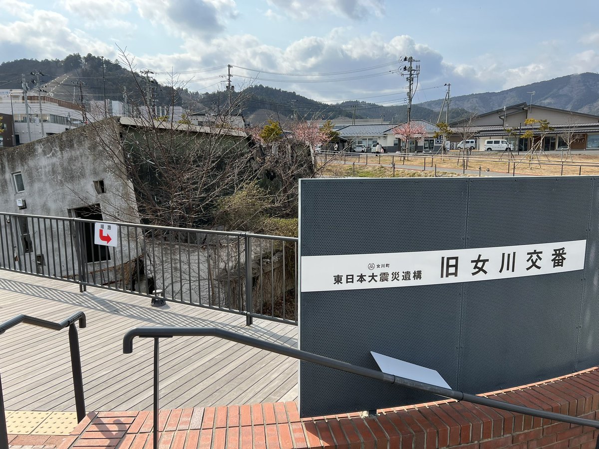 ペレ草田🌻 tweet media