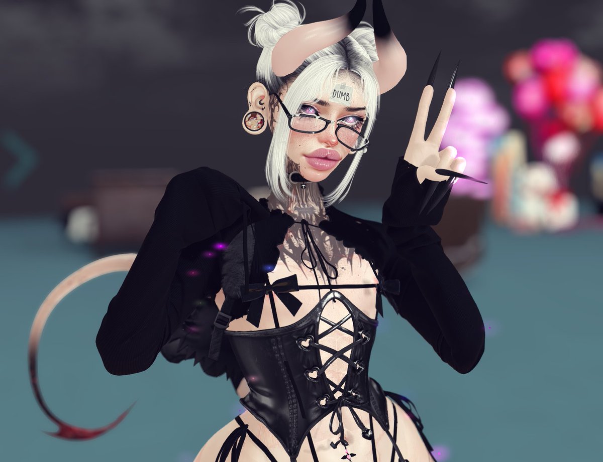 . 𝑲 𝑰 𝑻 𝑻 𝒀 . tweet media