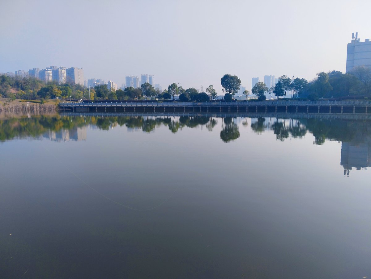 枕秋梦 tweet media