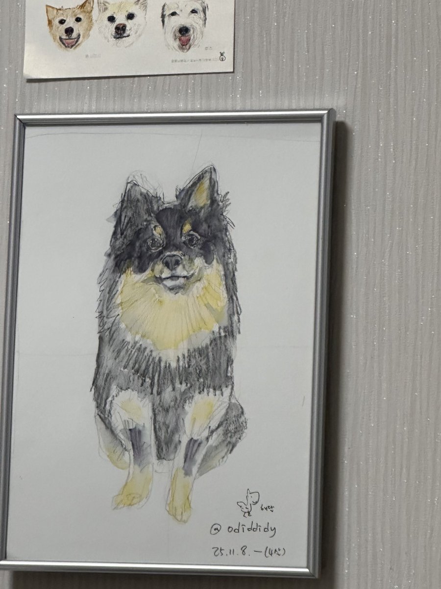 조오디 tweet media