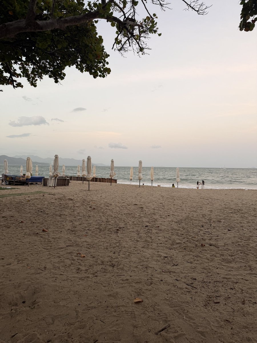 icebearcute tweet media