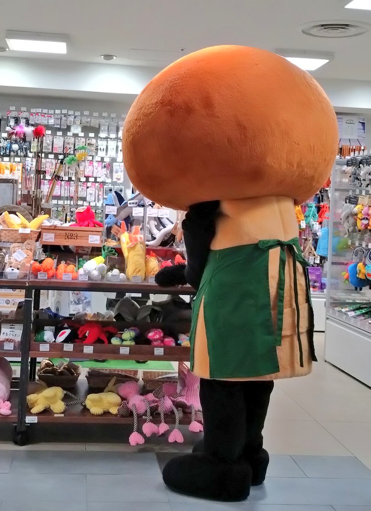 MISTYきのこ tweet media