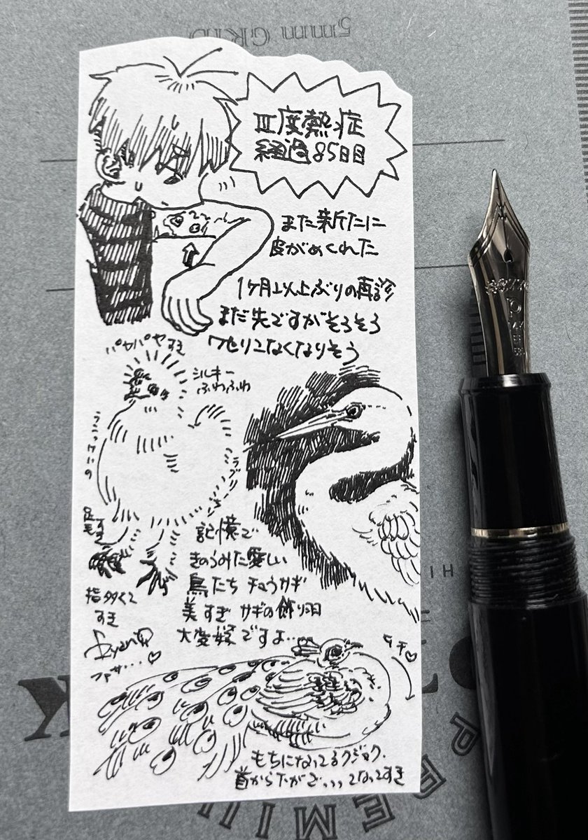 鳥オタ日記 になってしまった 
