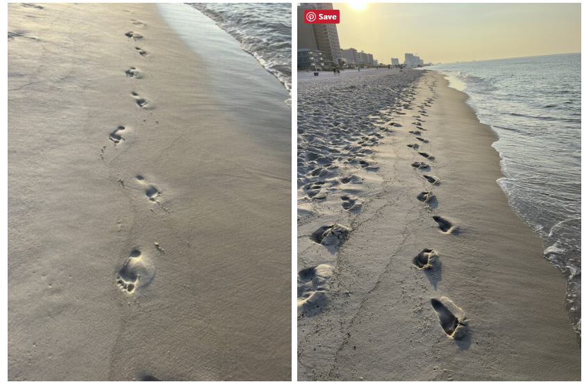 Paul Barford tweet media