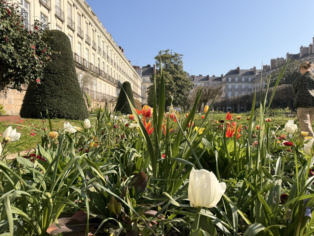 mnedoszytko's tweet image. In Nantes, France spreading the word about building for healthcare among French cardiologists. Did you know French is the second-most efficient language to interact with LLMs? @claude in its perfect pronunciation. #vibecoding is here to stay, #forsure.
