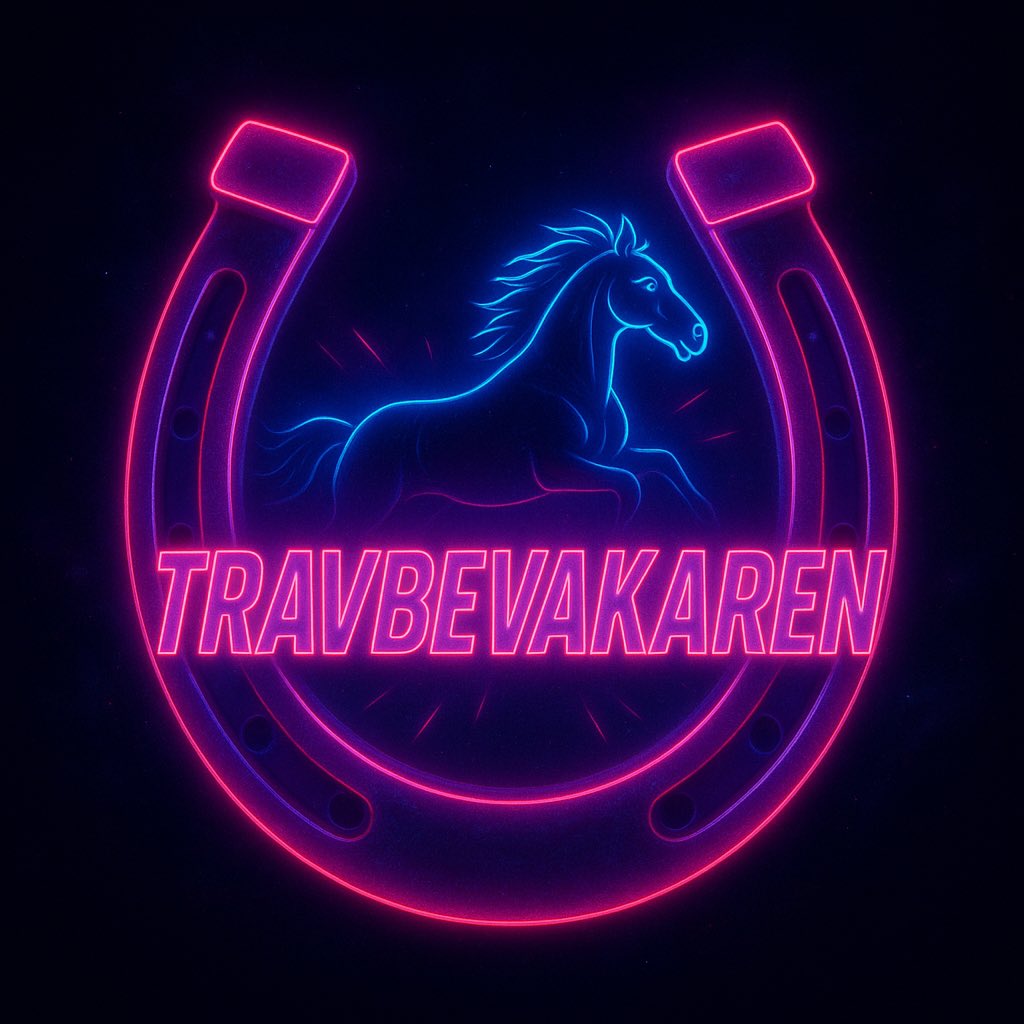 TravMagi tweet media