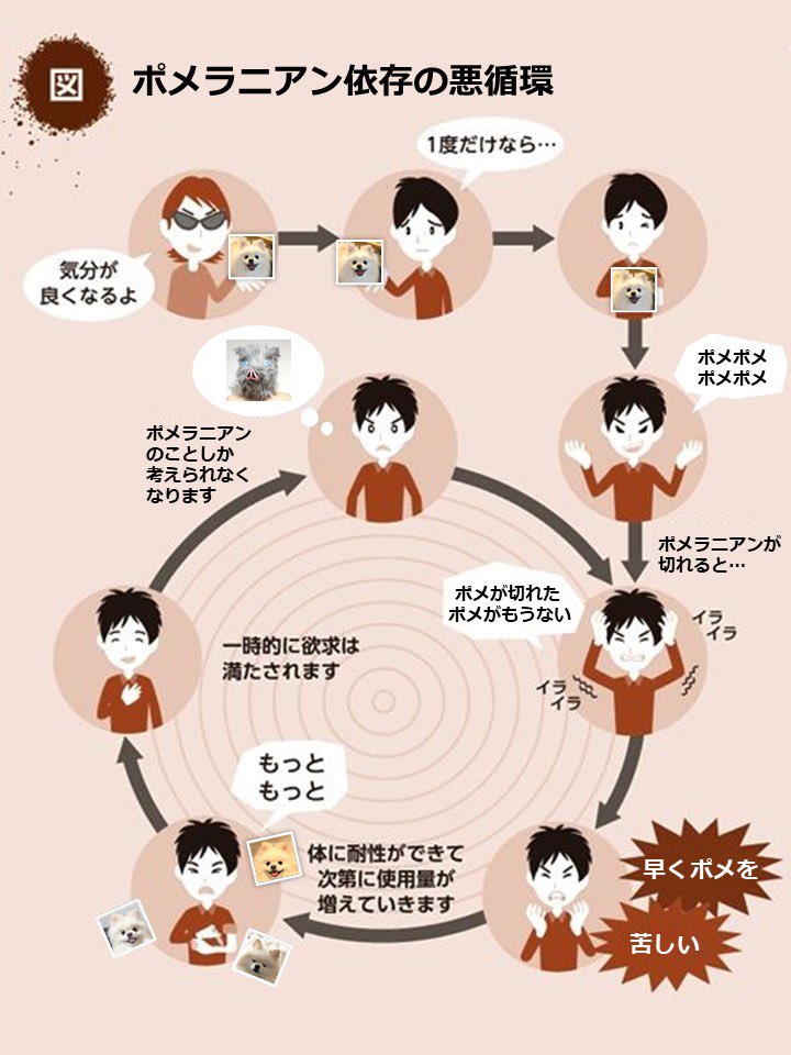 伊之助ボディになるまで毎日腹筋ローラー tweet media