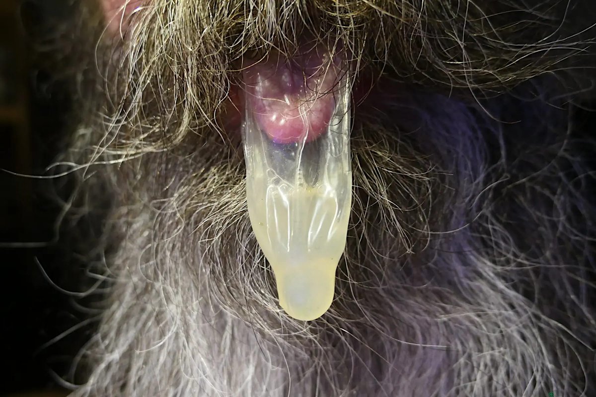 Fun With Condoms (Straight / Gay / Bi / Trans) tweet media