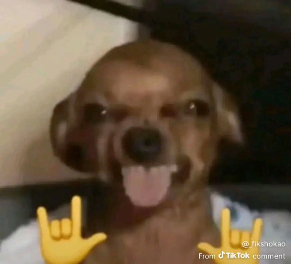 𝐄𝐬𝐭. tweet media