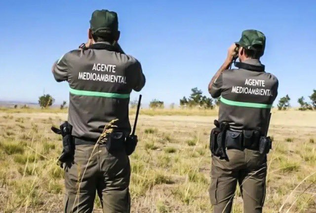 JLAceves's tweet photo. Hoy #DiaInternacionaldelosBosques 

Agradecimiento a tod@s l@s profesionales que cuidan nuestro patrimonio natural (Técnicos, Agentes Medioambientales, Bomberos Forestales, y resto personal) y q consiguen legar a futuras generaciones esta riqueza 

¡Feliz día y muchas gracias! 👏 https://t.co/3Ac9qSPwO5