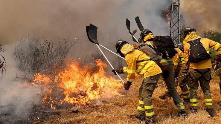 JLAceves's tweet photo. Hoy #DiaInternacionaldelosBosques 

Agradecimiento a tod@s l@s profesionales que cuidan nuestro patrimonio natural (Técnicos, Agentes Medioambientales, Bomberos Forestales, y resto personal) y q consiguen legar a futuras generaciones esta riqueza 

¡Feliz día y muchas gracias! 👏 https://t.co/3Ac9qSPwO5