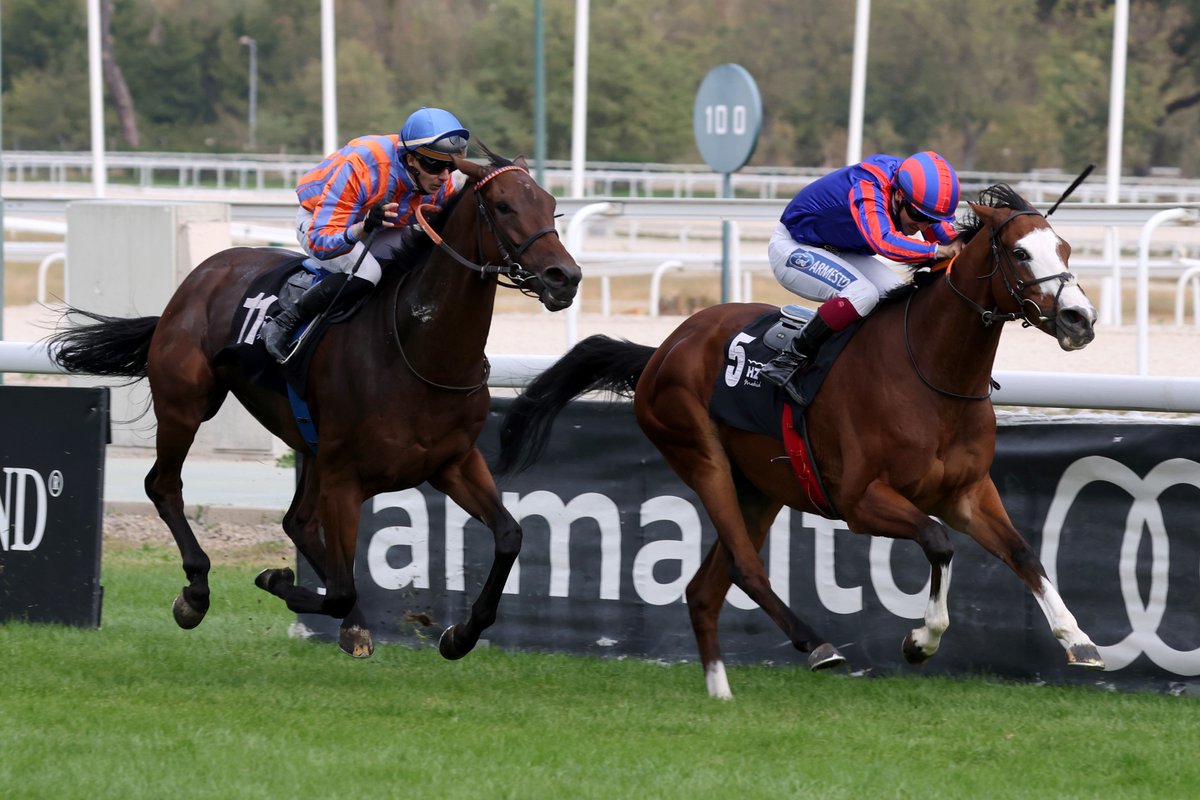 Francisco Salas tweet media