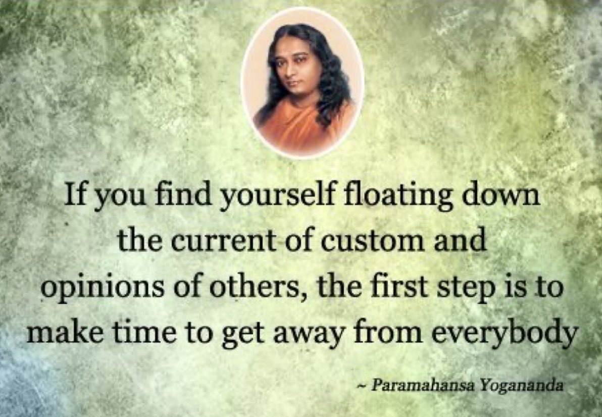 Shalini Singh tweet media