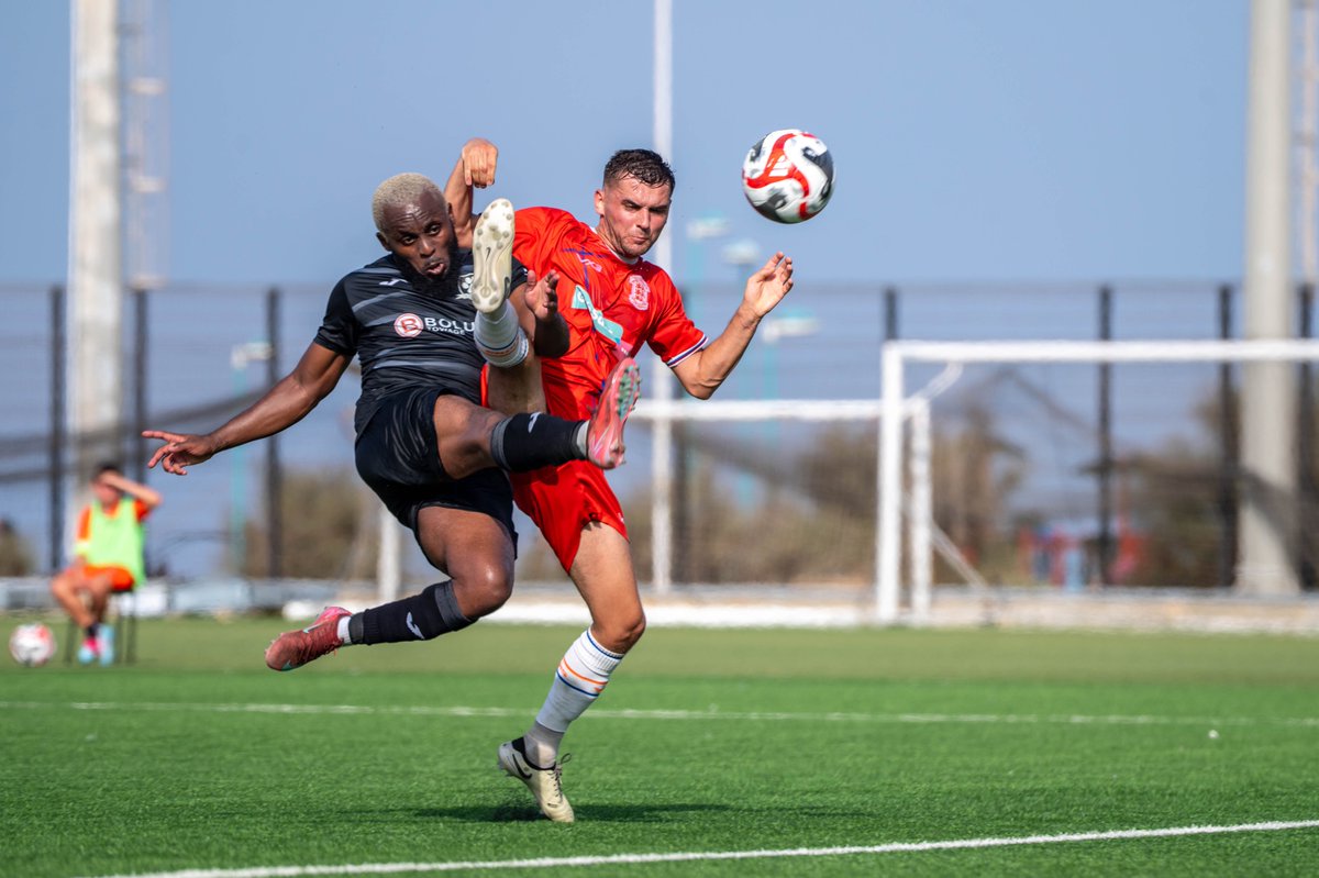 FC Hound Dogs tweet media