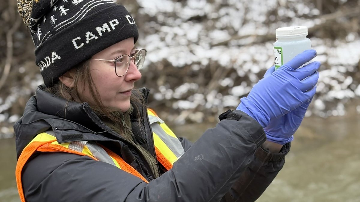 Ausable Bayfield tweet media