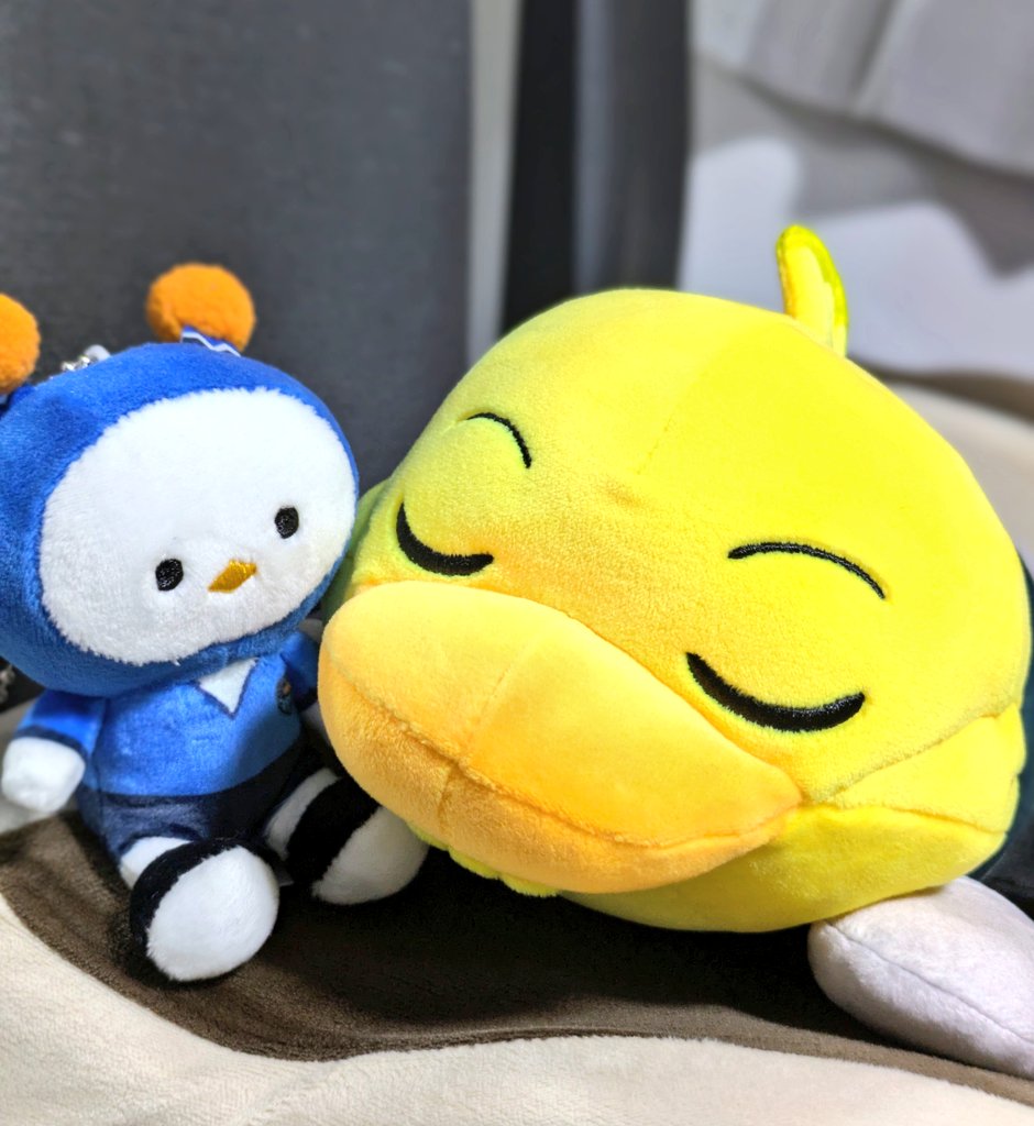 お疲れさまでした！ガミティが可愛いくて、我が家にも連れて帰りました✨️ #yokohamafc