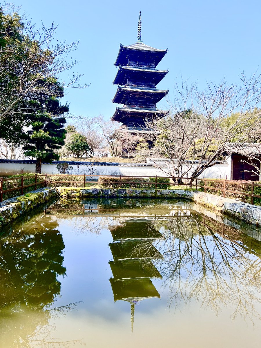 lupon0718's tweet photo. 春の備中国分寺三景。 https://t.co/HTCT3GGrro