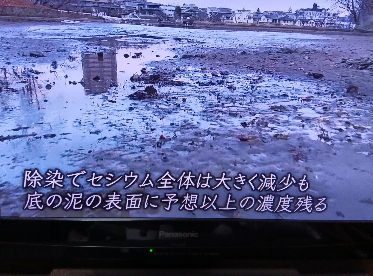 OVQiiG0PI1621's tweet photo. 福島原発事故から15年経過で天然ヤマメの放射線量が基準値から10倍の放射線量の数値が出た。天然のキノコシメジや松茸も同様⤵️今でも除染の進んでいない山野はこの状況⤵️政府や東京電力は事故が無かった様に再稼働を進めている。 https://t.co/P0RyhZVFM7
