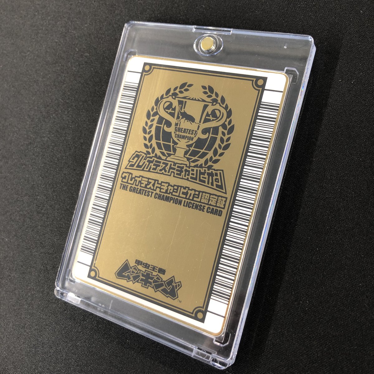 入荷情報】 グレイテストチャンピョン認定証入荷いたしました