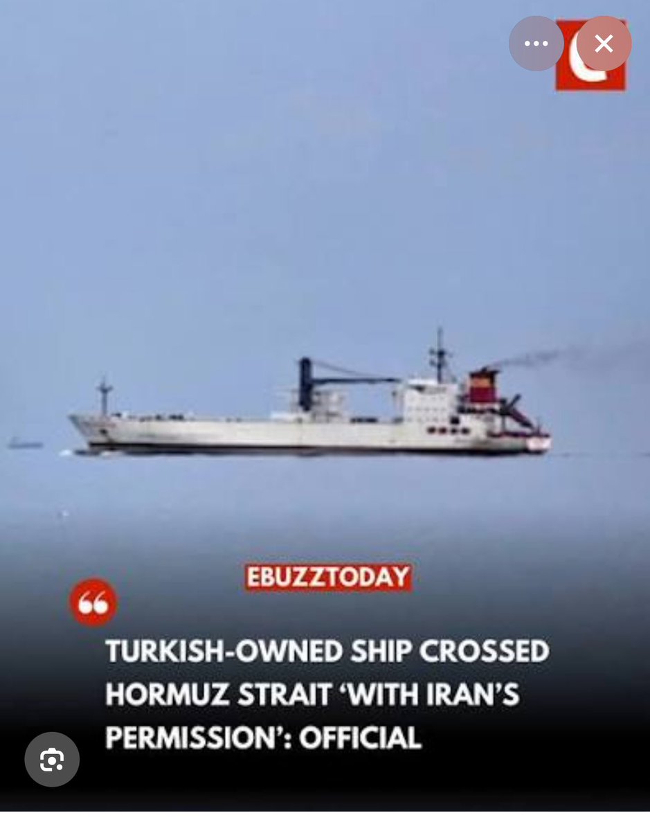 Sharon Eğritepe tweet media