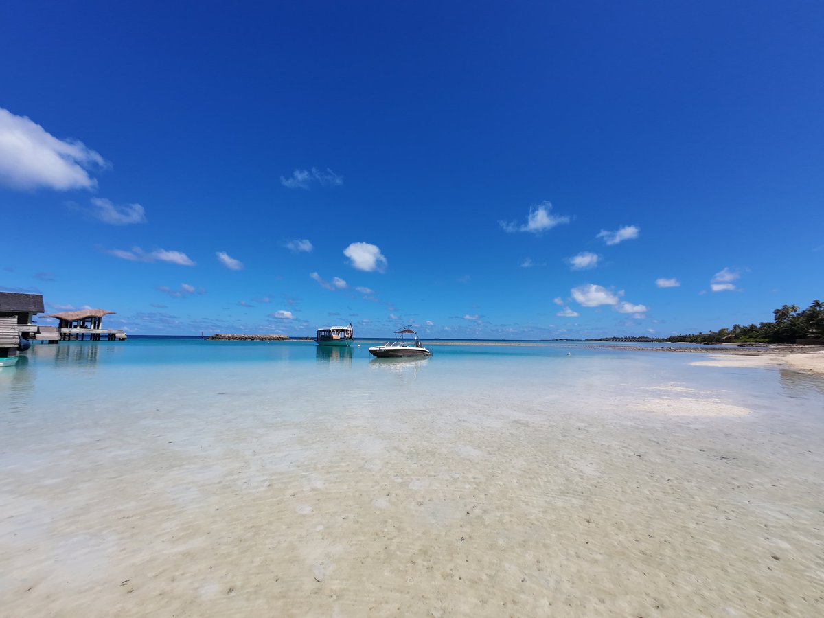 binlingual tweet media