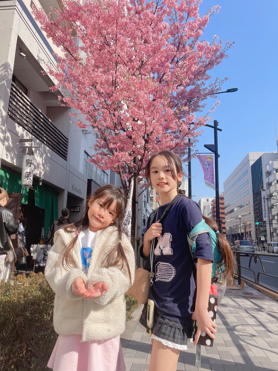 さくら🌸🩵SAKURA (@SAKURA1888094) / Posts / X