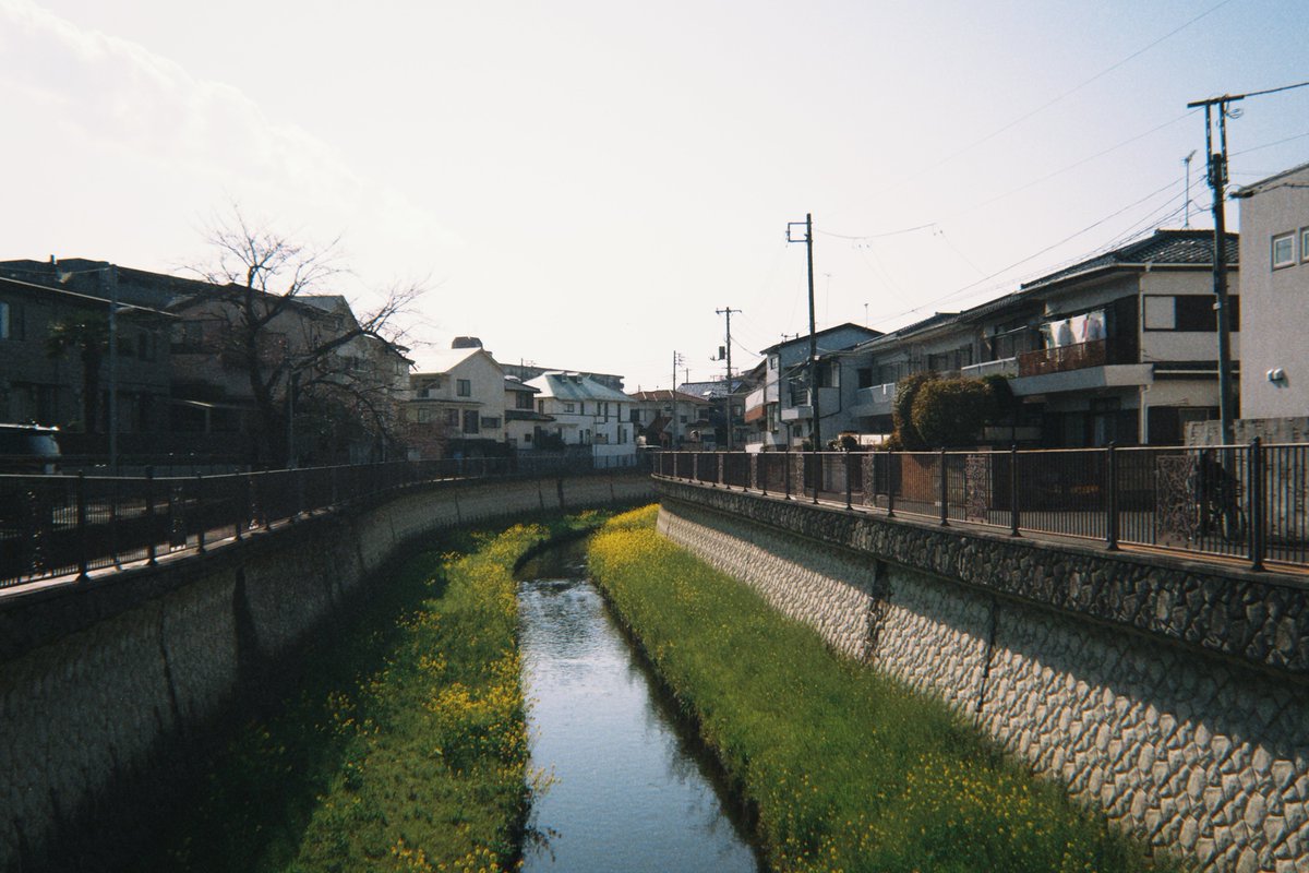 しょうたE𝕏TEND tweet media