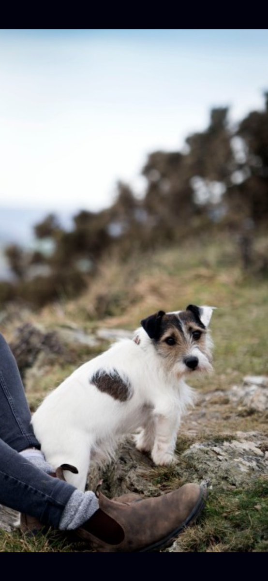 Lucinda Tobyjug tweet media