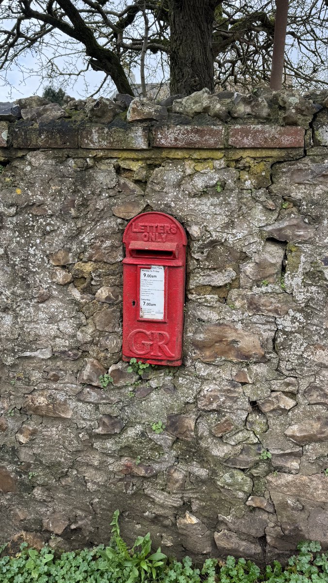 Barbara🦕 tweet media