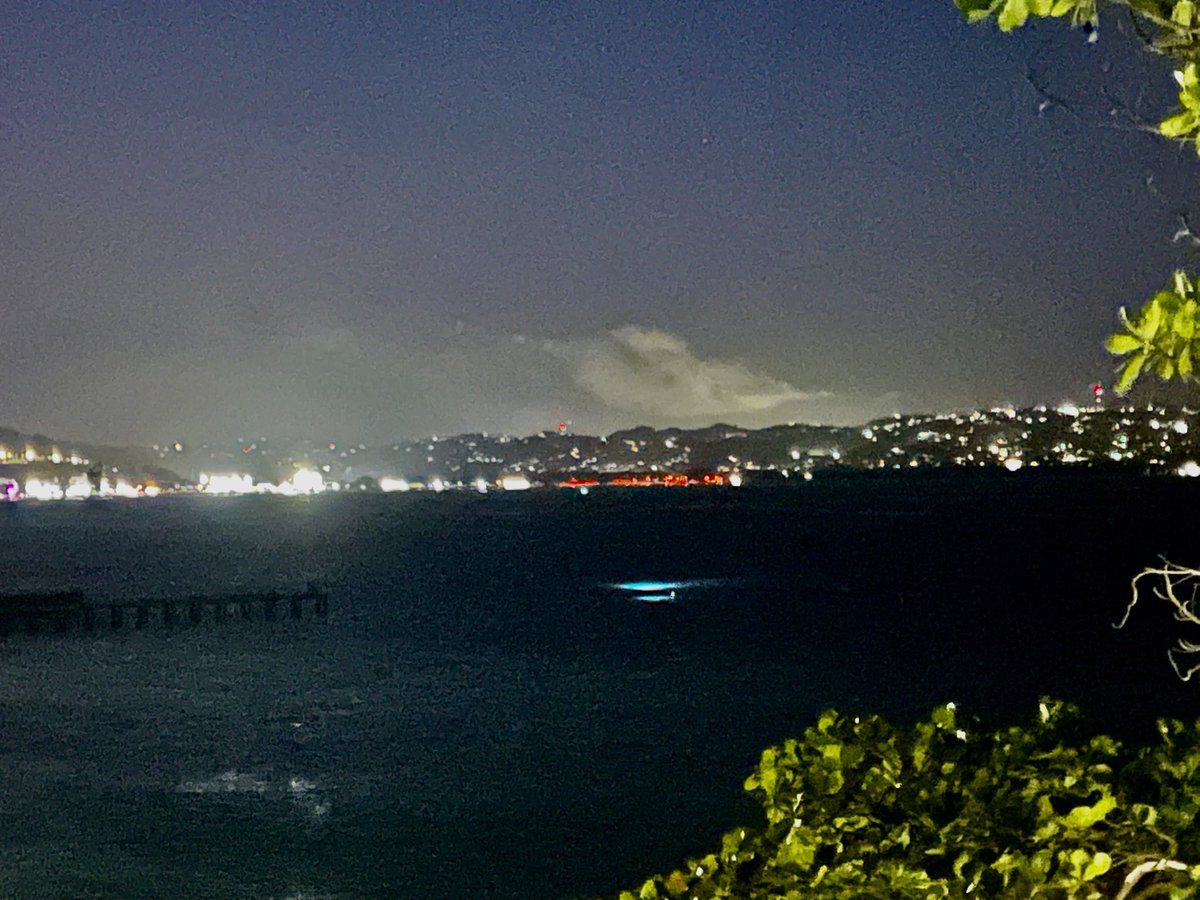 CRASH BOAT RAY tweet media