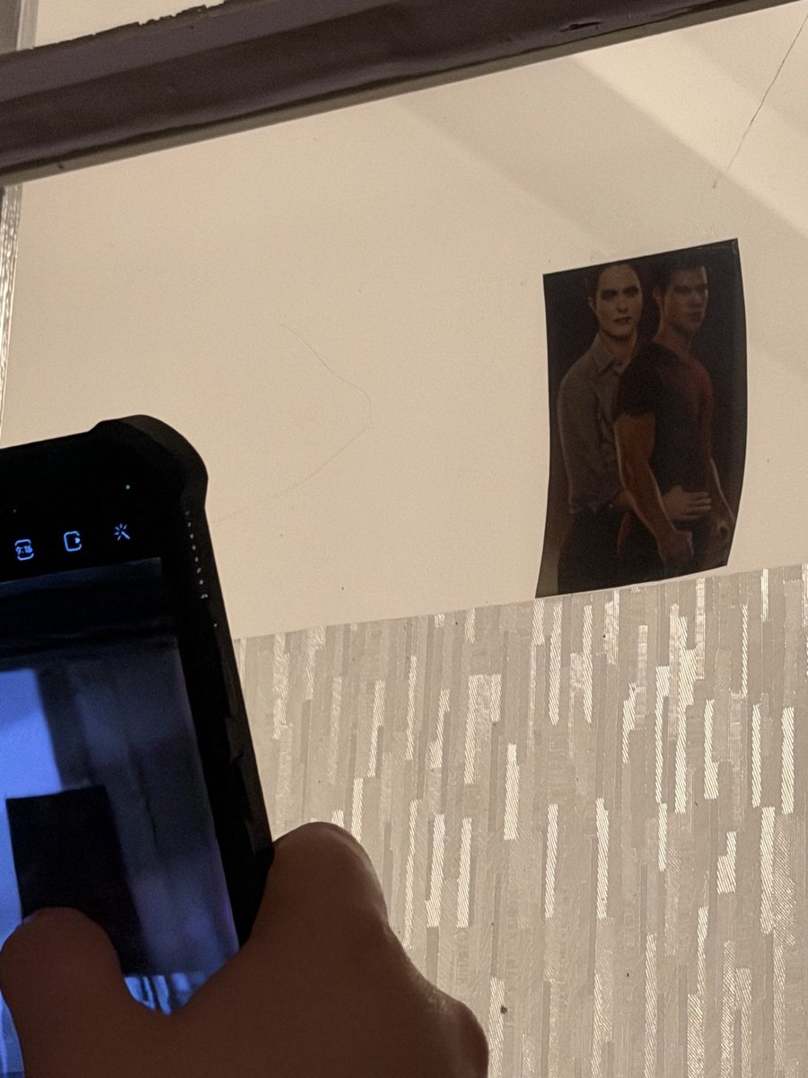 lilymeowmeow tweet media