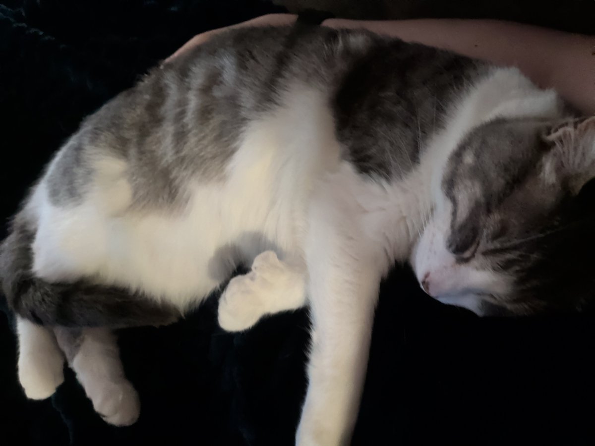 Pen×2🥭📦 tweet media