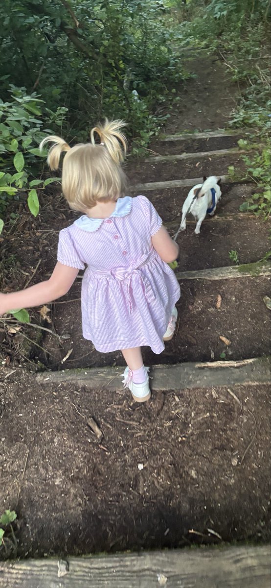 Nutrakiddo tweet media