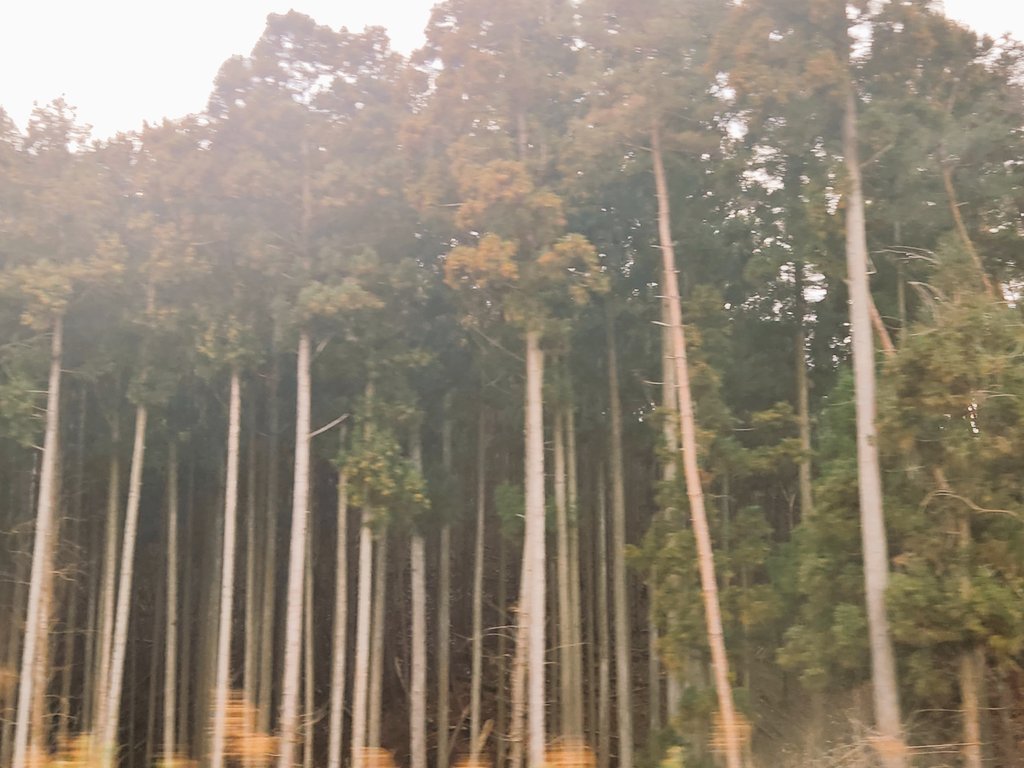 Dr.Gasmask tweet media