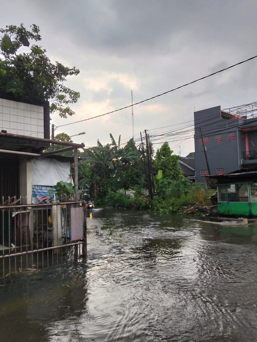 ︎︎Adib. tweet media