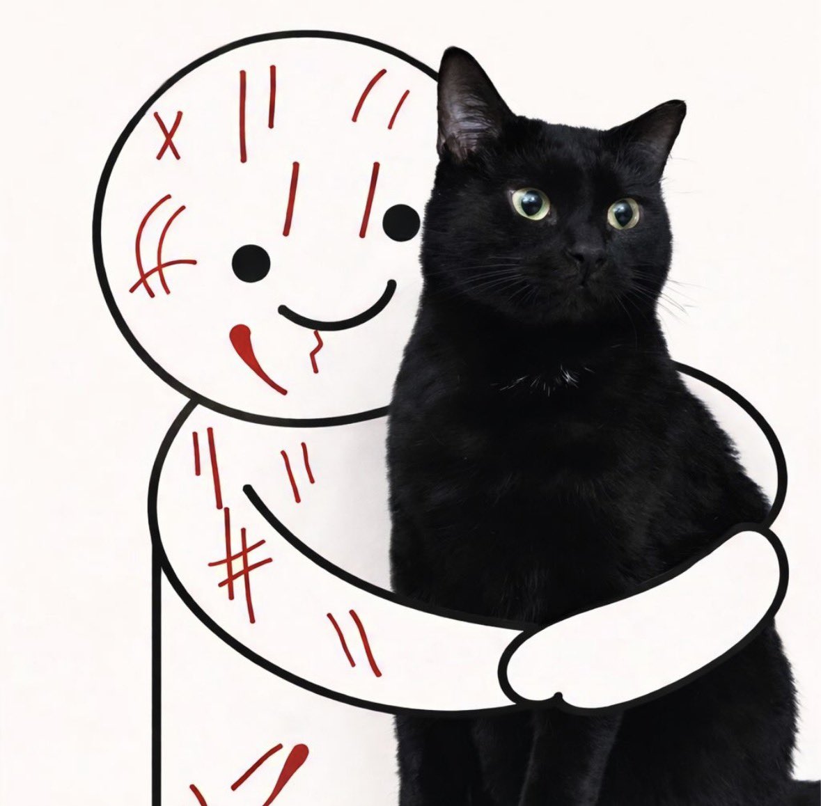 Black cats are not bad luck tweet media