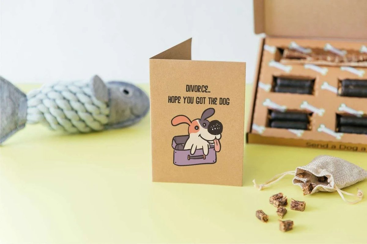 Dotty4Paws tweet media