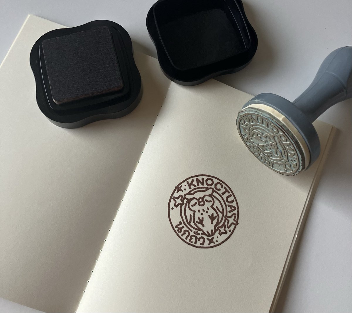 นกถั่ว tweet media