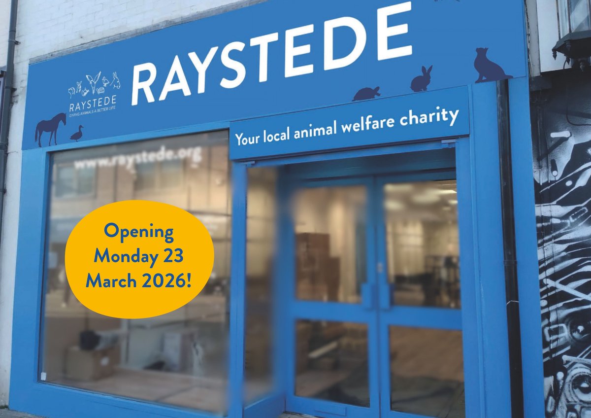 Raystede tweet media