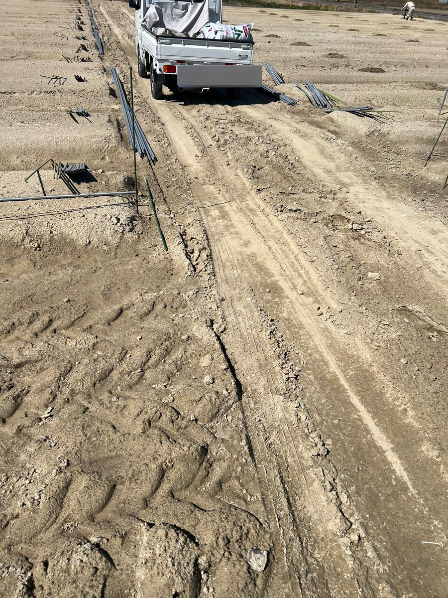 仮）りぃななファーム守衛室 tweet media