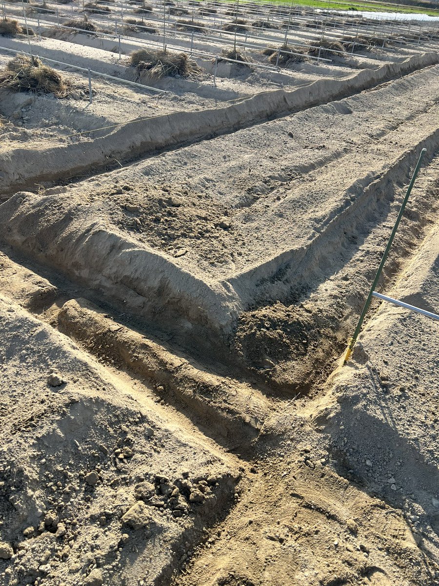 仮）りぃななファーム守衛室 tweet media