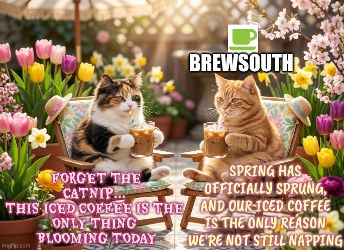 BrewSouthCoffee's tweet image. Chocolate Macadamia Nut Coffee has a #irresistible combination of #rich #chocolate &amp;amp; buttery macadamia #nuts in every sip
Order now ➡️ brewsouth.com/chocolate-maca…
#coffee #caffeine #decadent #coffeetime #flavoredcoffee #macadamia #flavors #icedcoffee #spring #springvibes #Spring2026